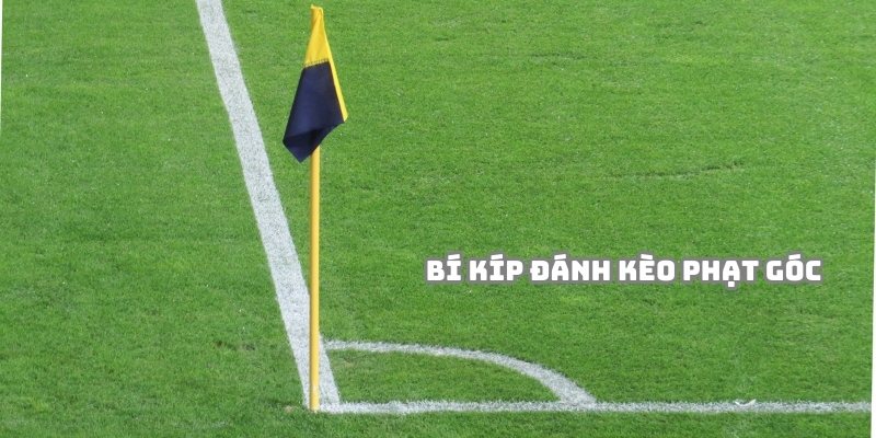 Áp dụng các bí kíp đánh kèo phạt góc hiệu quả từ chuyên gia