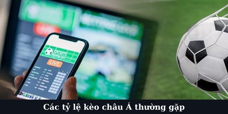 Các hình thức bắt kèo châu Á phổ biến