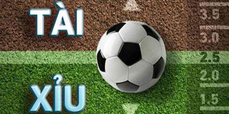 Các trường hợp trong cá độ tỷ lệ 1/2 trái