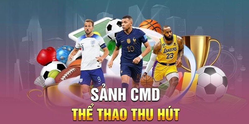 Những hình thức cá cược CMD thể thao phổ biến