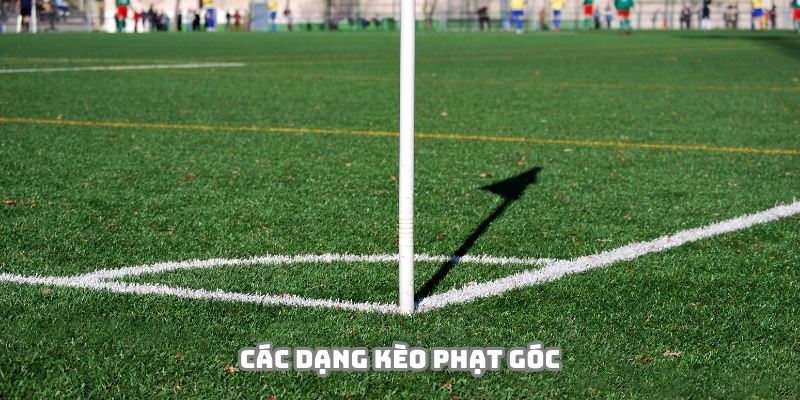 Đa dạng các thể loại để hội viên lựa chọn