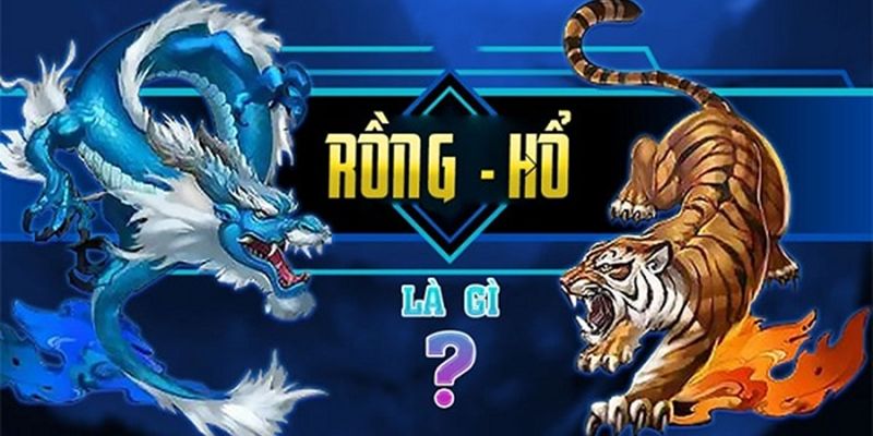 Tổng quan về game rồng hổ