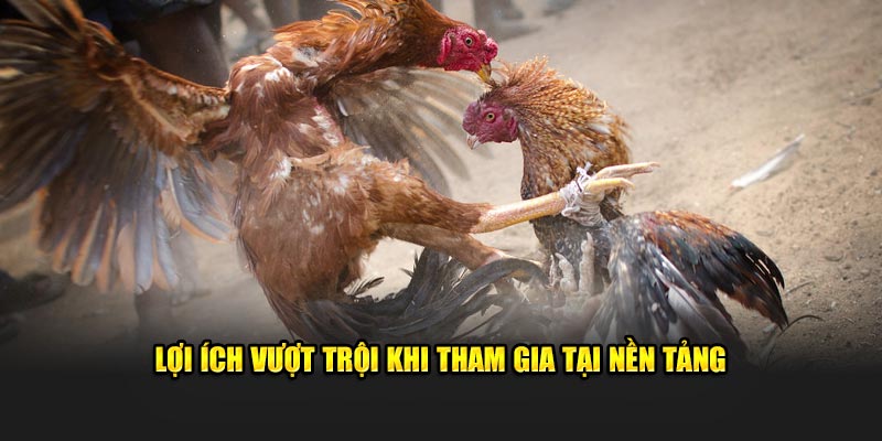 Lợi ích vượt trội khi tham gia tại nền tảng
