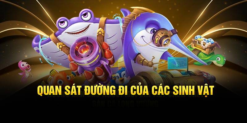 Quan sát đường đi khi sinh vật xuất hiện