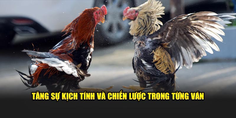 Tăng sự kịch tính và chiến lược trong từng ván