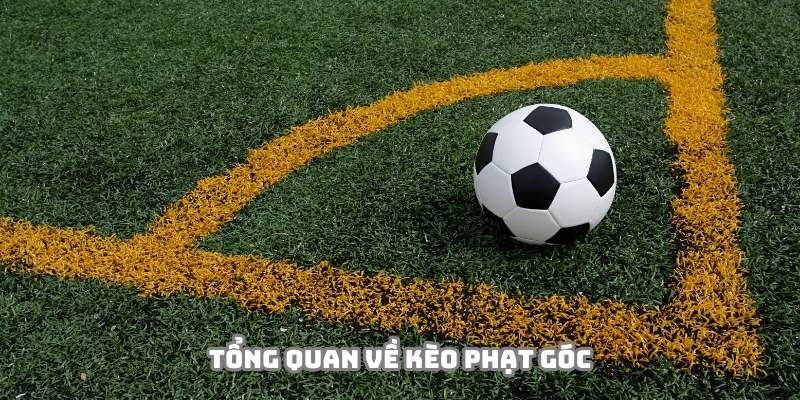 Thể loại nhận được sự yêu thích đặc biệt từ cộng đồng hội viên 88VV