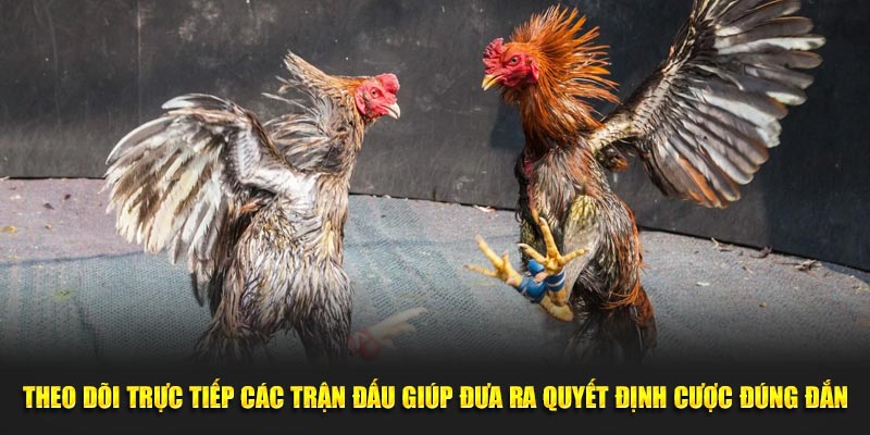 Theo dõi trực tiếp các trận đấu giúp đưa ra quyết định cược đúng đắn
