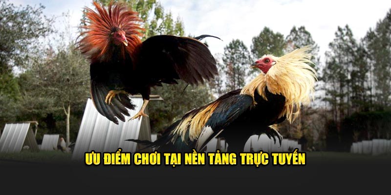Ưu điểm chơi tại nền tảng trực tuyến