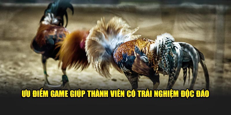 Ưu điểm game giúp thành viên có trải nghiệm độc đáo